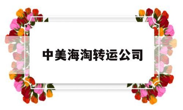 中美海淘转运公司