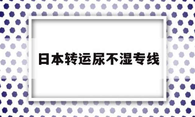 日本转运尿不湿专线